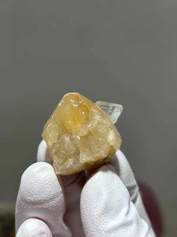 Honey scheelite with small clear aquamarine from Xuebaoding, Sichuan, China, held in gloved hand