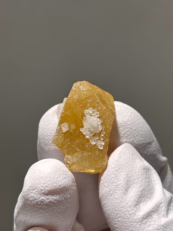 Small honey scheelite with white calcite spots from Xuebaoding, Sichuan, China, held in gloved hand