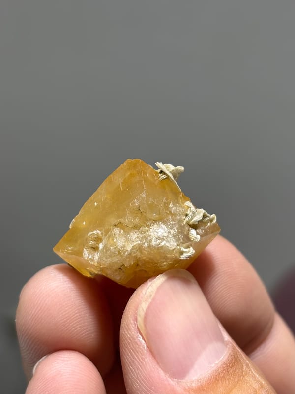 Honey scheelite floater with mica from Xuebaoding, Sichuan, China, reverse side