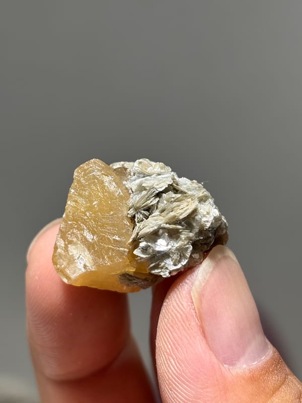 Small honey scheelite with mica rosette from Xuebaoding, Sichuan, China, held in hand
