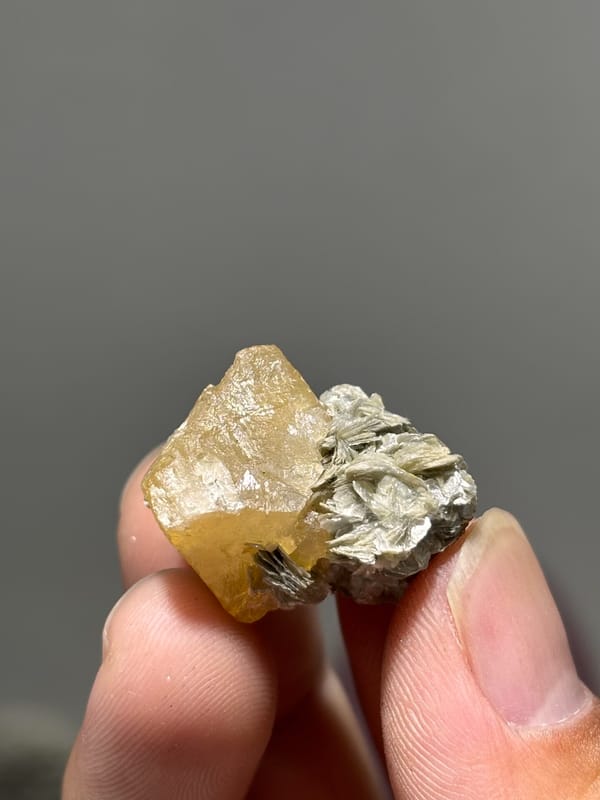 Small honey scheelite with mica rosette from Xuebaoding, Sichuan, China, second angle