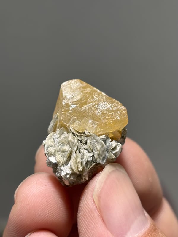 Small honey scheelite with mica rosette from Xuebaoding, Sichuan, China, close-up of the crystal faces