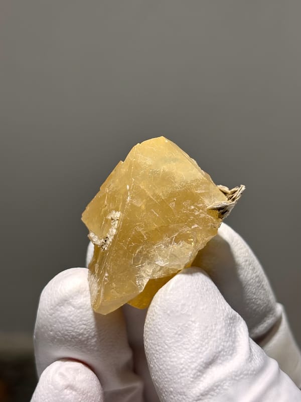 Honey scheelite with mica fleck from Xuebaoding, Sichuan, China, held in gloved hand