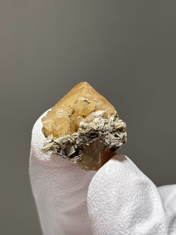 Small honey scheelite on mica from Xuebaoding, Sichuan, China, held in gloved hand