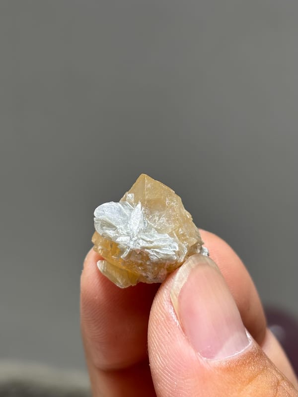 Small honey scheelite with mica from Xuebaoding, Sichuan, China, close-up of the crystal faces
