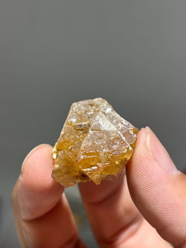 Honey scheelite floater group with mica from Xuebaoding, Sichuan, China, close-up of the crystal faces