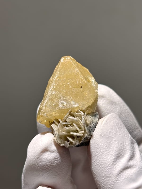 Honey scheelite with tan mica rosette from Xuebaoding, Sichuan, China, held in gloved hand