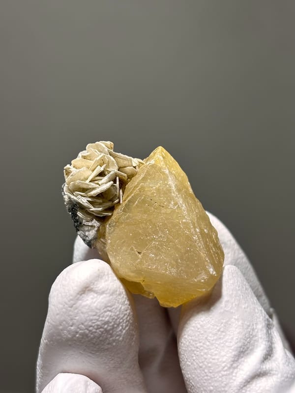 Honey scheelite with tan mica rosette from Xuebaoding, Sichuan, China, second angle