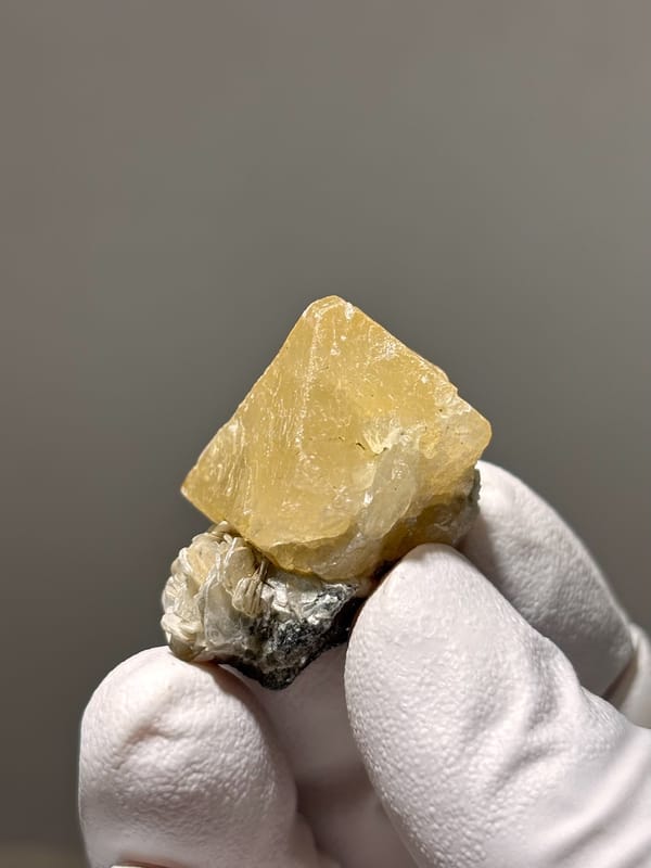 Honey scheelite with tan mica rosette from Xuebaoding, Sichuan, China, close-up of the crystal faces