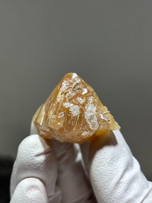 Honey scheelite with mica flakes on its faces from Xuebaoding, Sichuan, China, held in gloved hand
