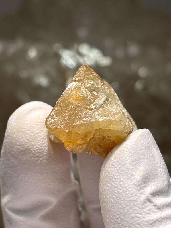 Small honey scheelite crystal from Xuebaoding, Sichuan, China, held in gloved hand