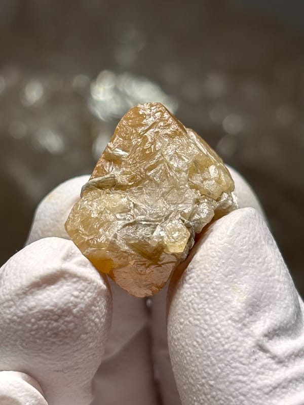 Small honey scheelite crystal from Xuebaoding, Sichuan, China, close-up of the crystal faces