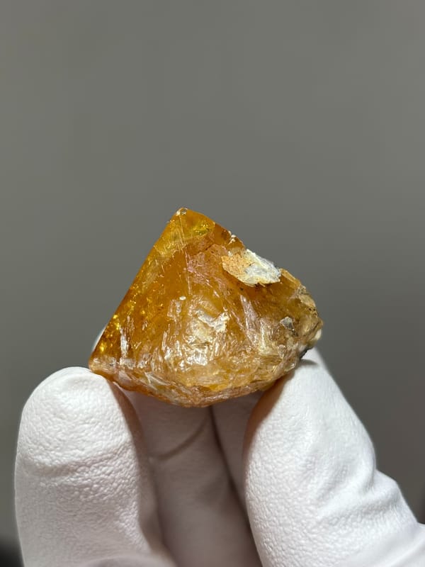 Honey scheelite with complete tip from Xuebaoding, Sichuan, China, held in gloved hand