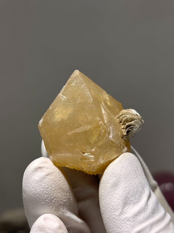 Honey scheelite crystal with mica fleck from Xuebaoding, Sichuan, China, held in gloved hand