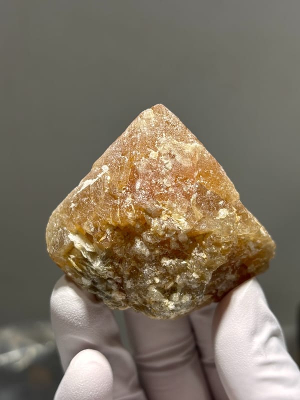 Large honey scheelite from Xuebaoding, Sichuan, China, held in gloved hand
