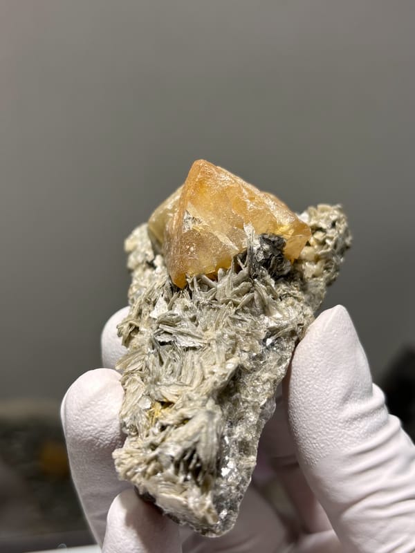 Honey scheelite crystal on tan mica plate from Xuebaoding, Sichuan, China, held in gloved hand