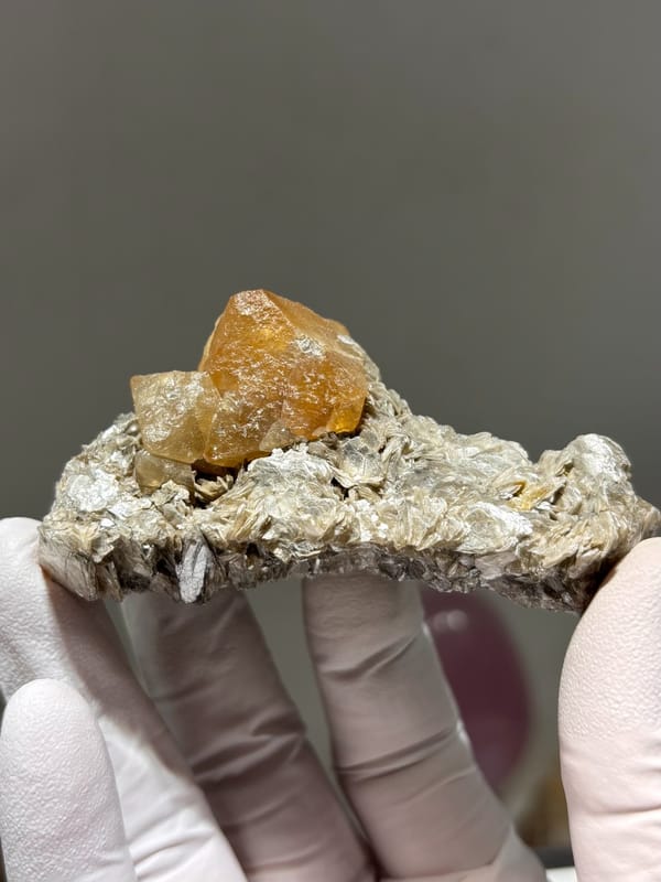 Honey scheelite crystal on tan mica plate from Xuebaoding, Sichuan, China, second angle