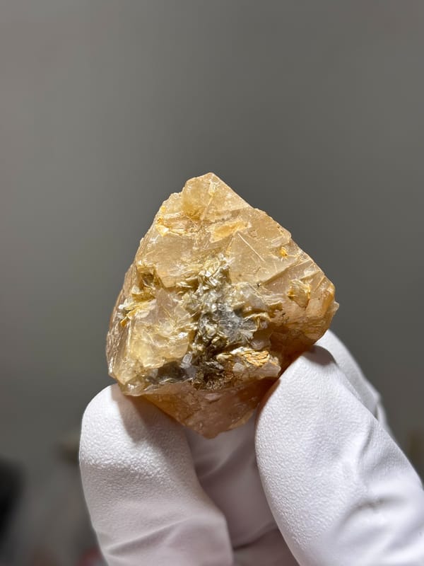 Honey-orange scheelite with mica on its faces from Xuebaoding, Sichuan, China, held in gloved hand