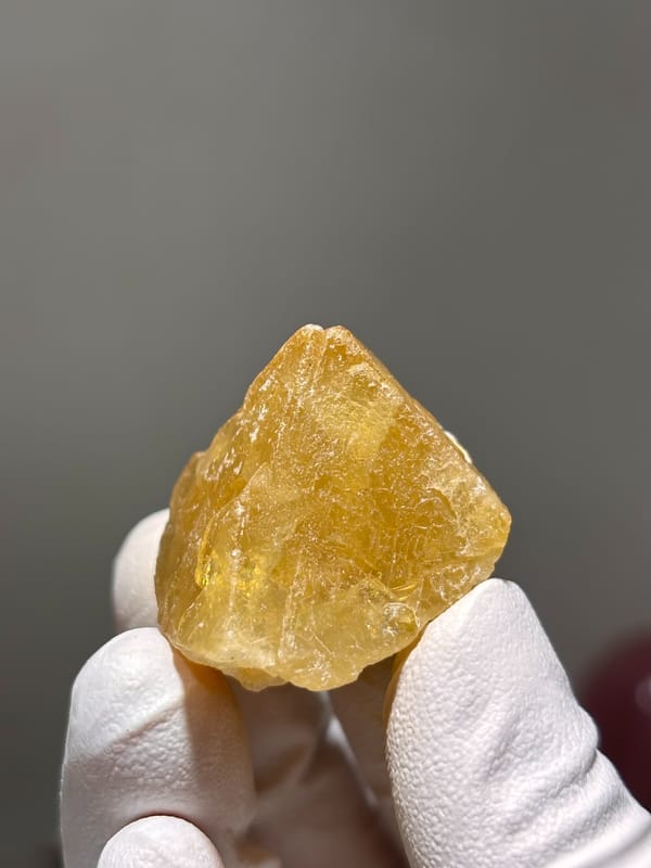 Honey-orange scheelite crystal from Xuebaoding, Sichuan, China, held in gloved hand