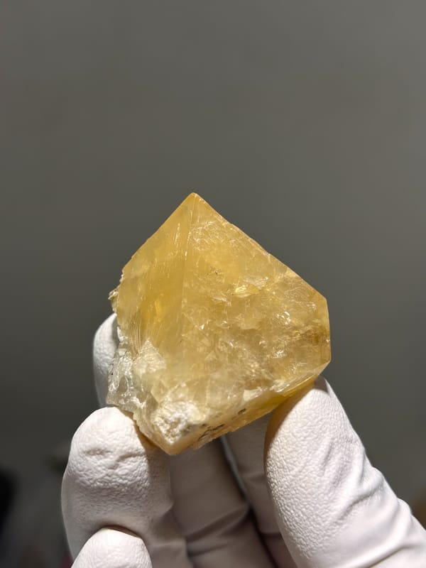 Honey-orange scheelite with complete tip from Xuebaoding, Sichuan, China, held in gloved hand