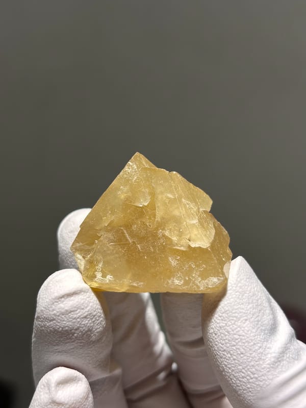 Honey-yellow scheelite crystal from Xuebaoding, Sichuan, China, held in gloved hand