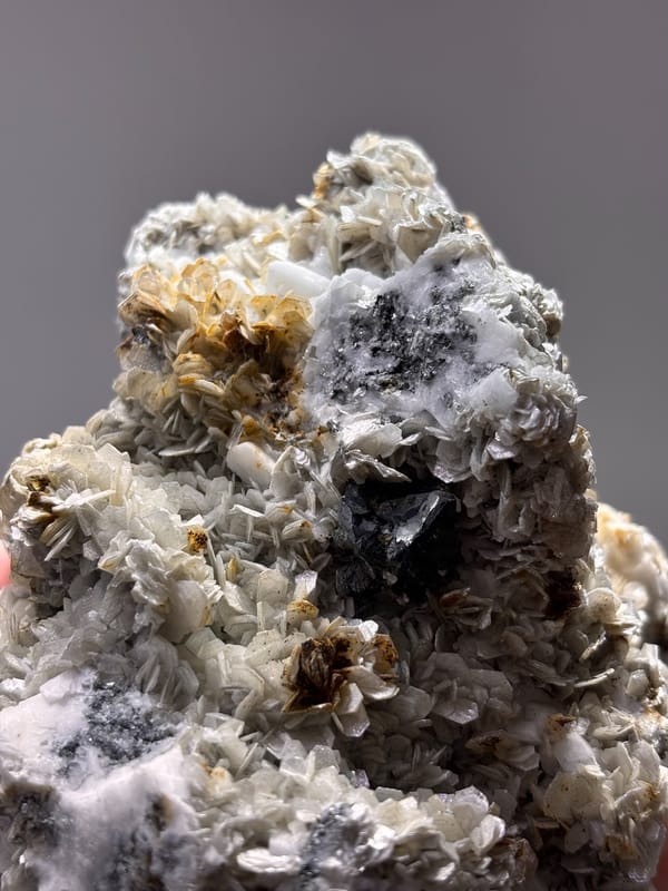 Dark mica block with aquamarine, cassiterite and scheelite from Xuebaoding, Sichuan, China, close-up of the crystal faces