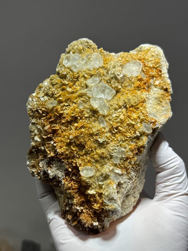 Golden mica plate with pale aquamarine crystals from Xuebaoding, Sichuan, China, held in gloved hand