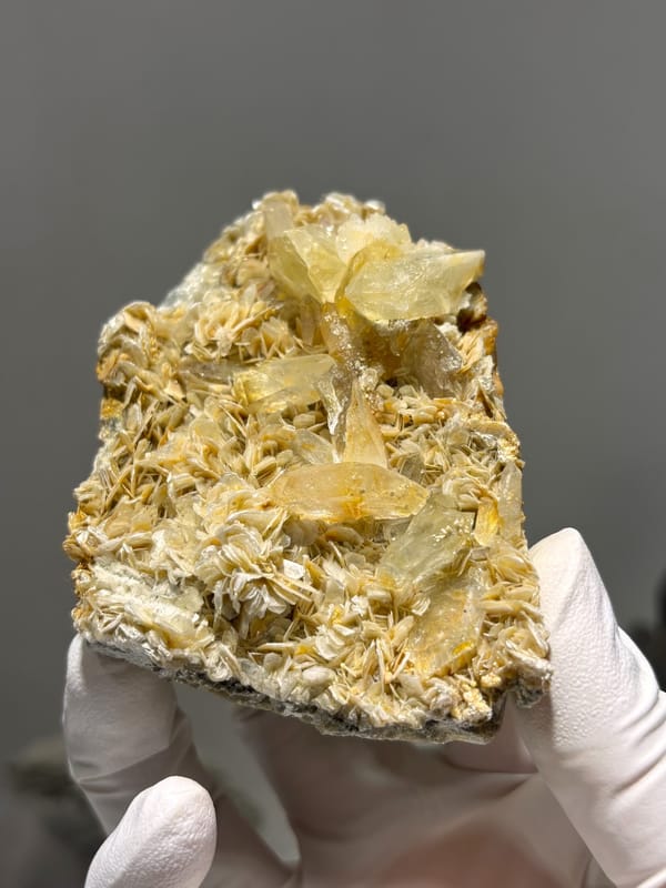 Golden mica plate with pale aquamarine crystals from Xuebaoding, Sichuan, China, held in gloved hand