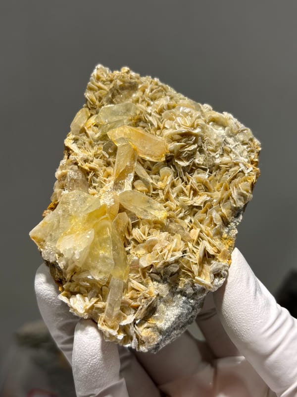 Golden mica plate with pale aquamarine crystals from Xuebaoding, Sichuan, China, reverse side