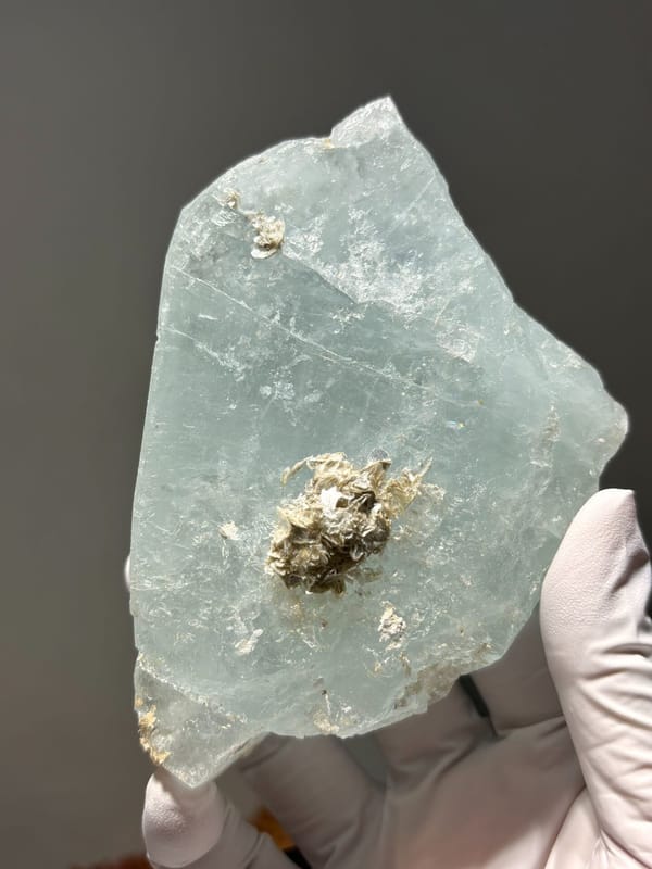 Aquamarine plate with mica rosette from Xuebaoding, Sichuan, China, held in gloved hand