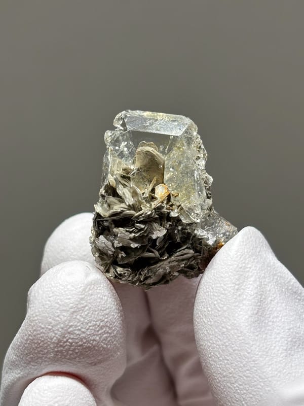 Glassy aquamarine on mica rosette from Xuebaoding, Sichuan, China, held in gloved hand
