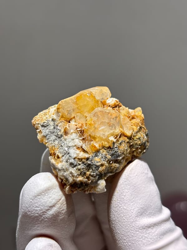 Golden-stained aquamarine on dark mica from Xuebaoding, Sichuan, China, held in gloved hand