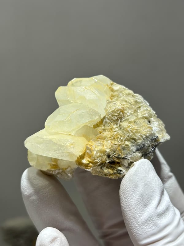 Near-colourless aquamarine cluster on golden mica from Xuebaoding, Sichuan, China, held in gloved hand