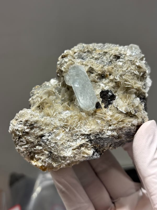 Pale aquamarine prism in tan mica with cassiterite from Xuebaoding, Sichuan, China, held in gloved hand