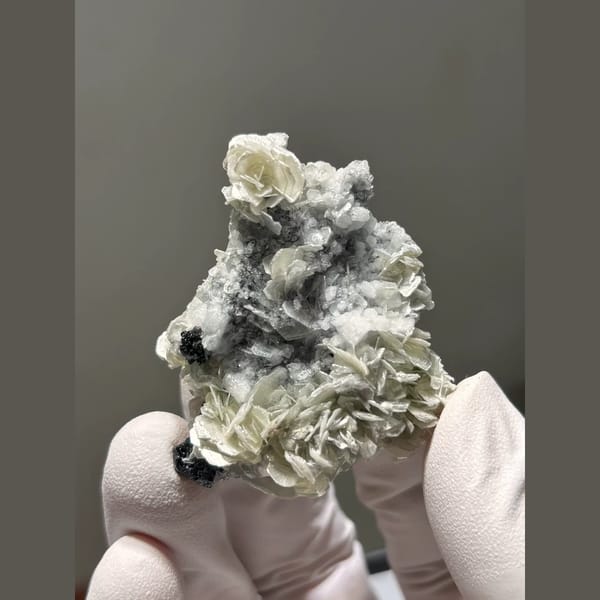 Black cassiterite with mica and feldspar from Xuebaoding, Sichuan — complete view
