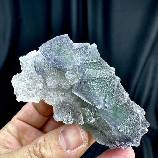 Row of purple and green zoned fluorite octahedra on quartz from Fujian, China, top view
