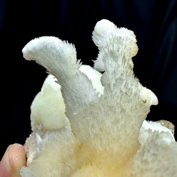 Snow-white aragonite tufts on yellow calcite from Guizhou, China, second angle