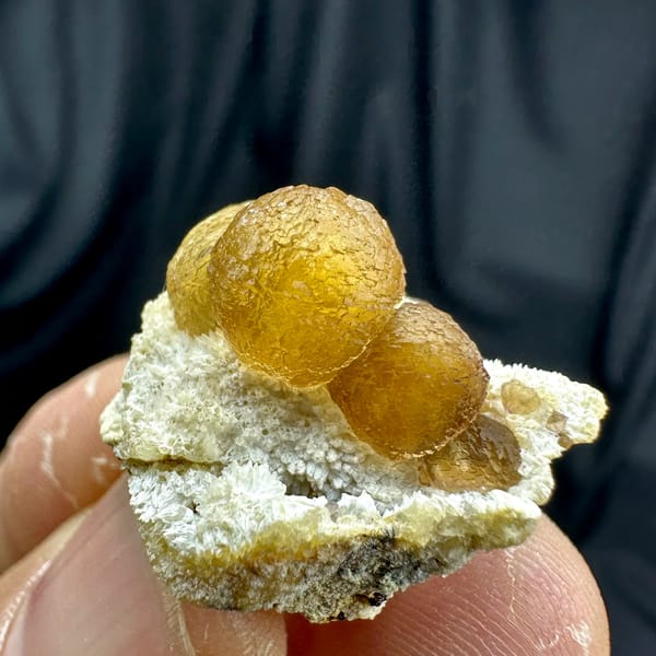 Two amber-yellow botryoidal fluorite balls on white quartz from Henan, China, held in hand