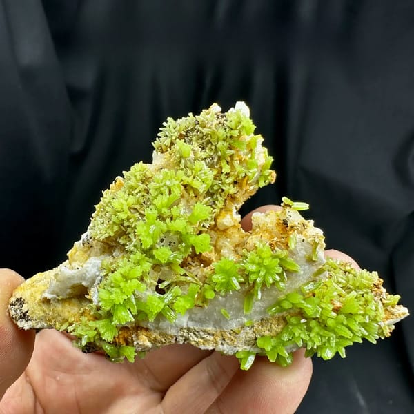 Lime-green pyromorphite crystal rosettes on grey matrix from Guangxi, China, held in hand