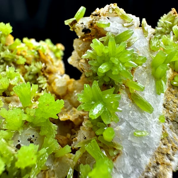 Lime-green pyromorphite crystal rosettes on grey matrix from Guangxi, China, reverse side
