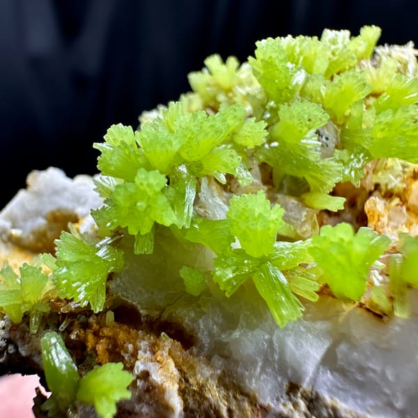 Lime-green pyromorphite crystal rosettes on grey matrix from Guangxi, China, top view