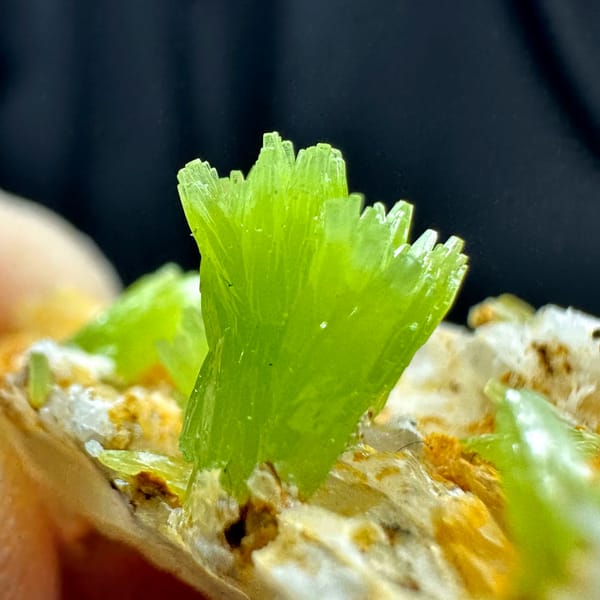 Lime-green pyromorphite tufts on white quartz matrix from Guangxi, China, close-up of the crystal faces