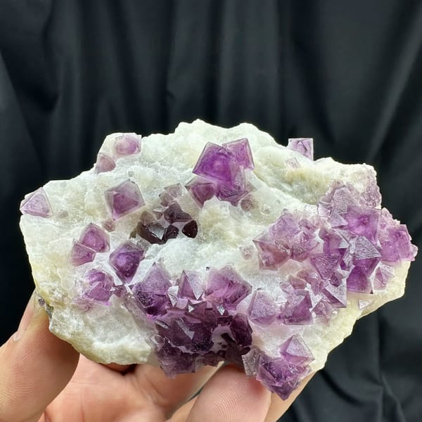 Purple fluorite octahedra on white quartz plate from Zhejiang, China, held in hand