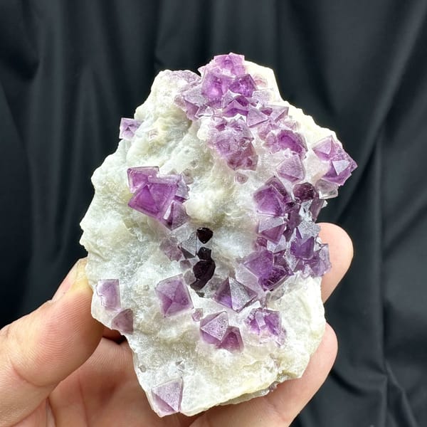 Purple fluorite octahedra on white quartz plate from Zhejiang, China, top view