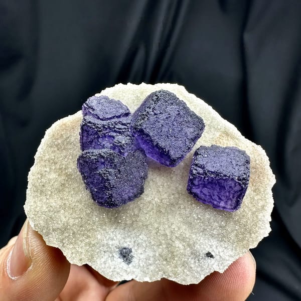 Four deep purple fluorite cubes on cream quartz matrix from Guizhou, China, held in hand