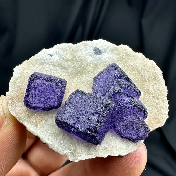 Four deep purple fluorite cubes on cream quartz matrix from Guizhou, China, close-up of the crystal faces
