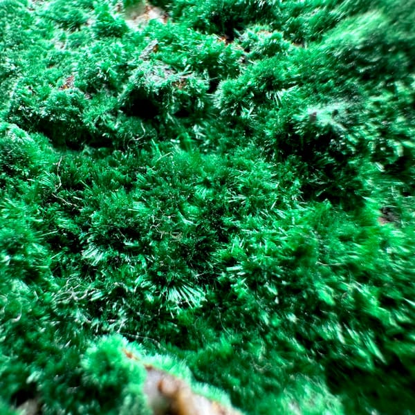 Velvet green moss malachite covering a rounded matrix from Yunnan, China, second angle