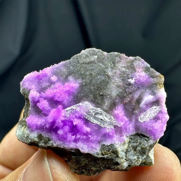 Magenta aragonite needles with clear gypsum on dark matrix from Yunnan, China, held in hand