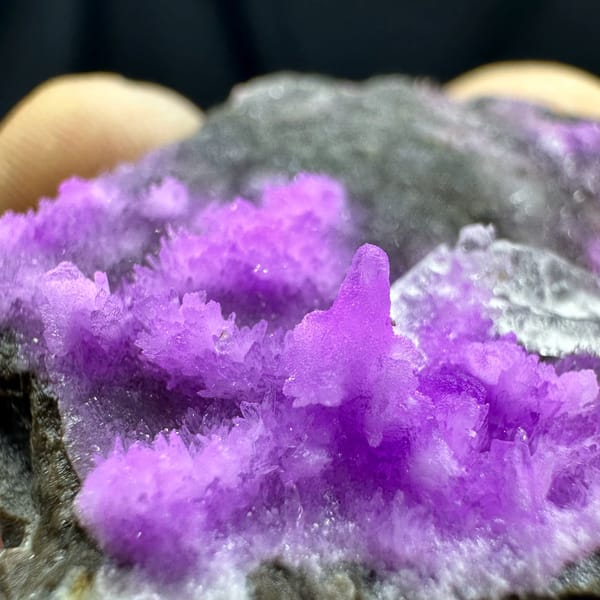 Magenta aragonite needles with clear gypsum on dark matrix from Yunnan, China, second angle