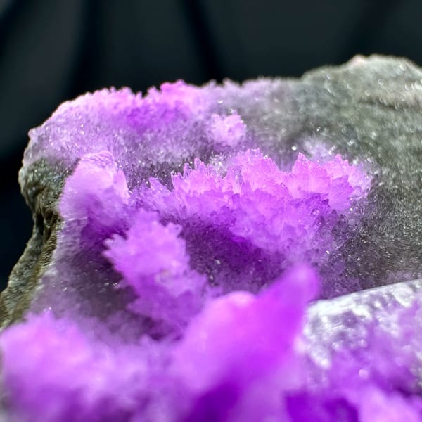 Magenta aragonite needles with clear gypsum on dark matrix from Yunnan, China, close-up of the crystal faces